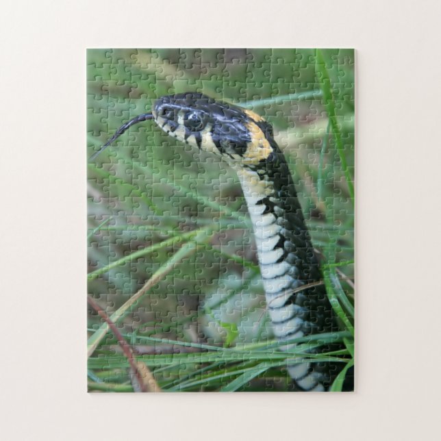 Quebra-cabeça Cobra (Vertical)