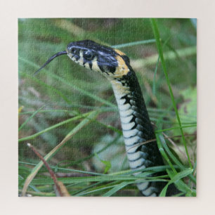Quebra-cabeça Cobra
