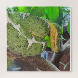 Quebra-cabeça cobra