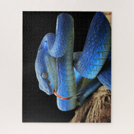 Quebra-cabeça Cobra azul