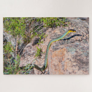 Quebra-cabeça cobra de árvore verde colorida na Austrália, 101