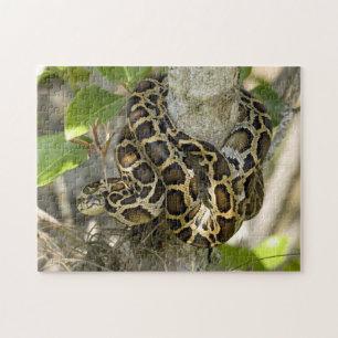 Quebra-cabeça Cobra de Python birmanês
