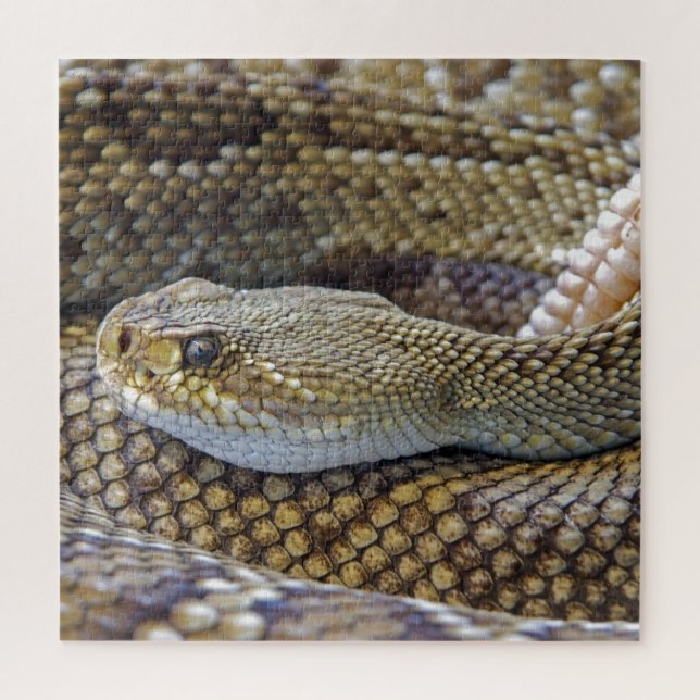 Quebra-cabeça Cobra Venomous Rattle Close-Up (Vertical)