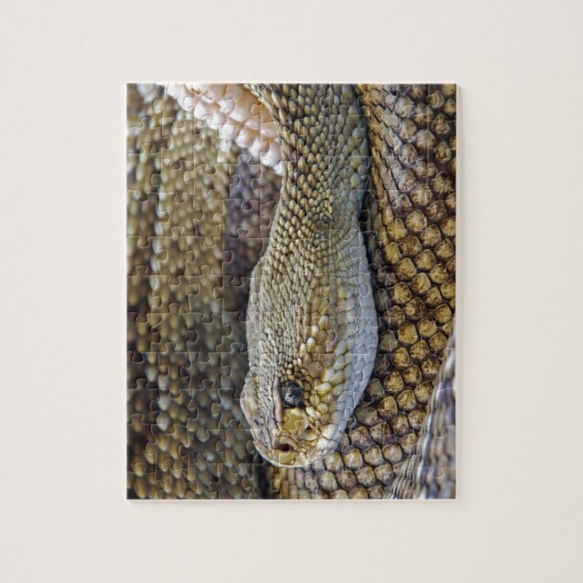 Quebra-cabeça Cobra Venomous Rattle Close-Up (Vertical)