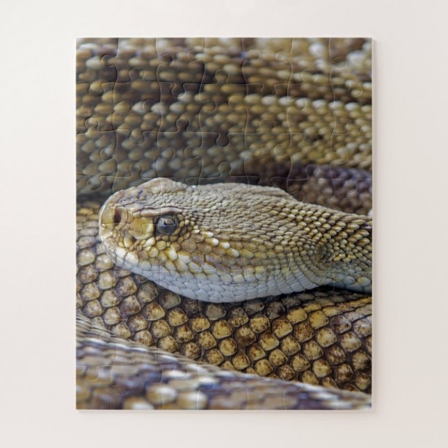 Quebra-cabeça Cobra Venomous Rattle Close-Up (Vertical)