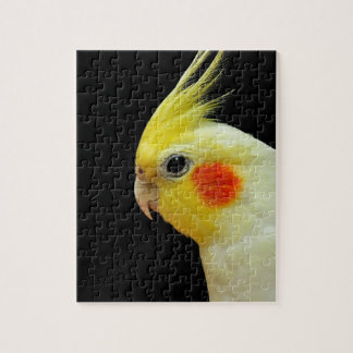 Quebra-cabeça Cockatiel de Lutino
