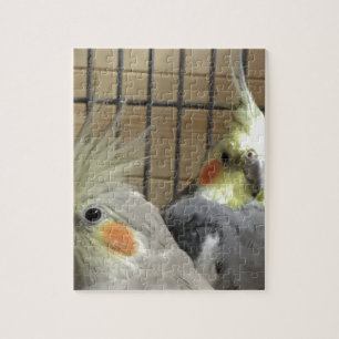 Quebra-cabeça Cockatiels