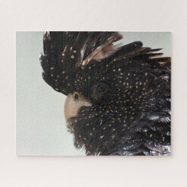 Quebra-cabeça Cockatoa Preta (Horizontal)