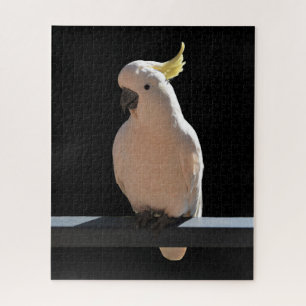 Quebra-cabeça Cockatoo at Sundial Apartments Jigsaw Puzzle