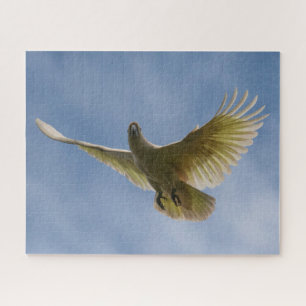 Quebra-cabeça Cockatoo com crista de enxofre australiana, 520 pe