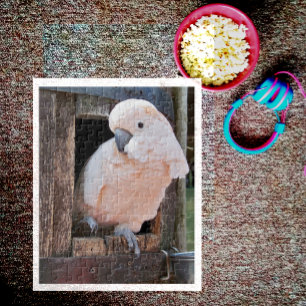 Quebra-cabeça Cockatoo Molucano
