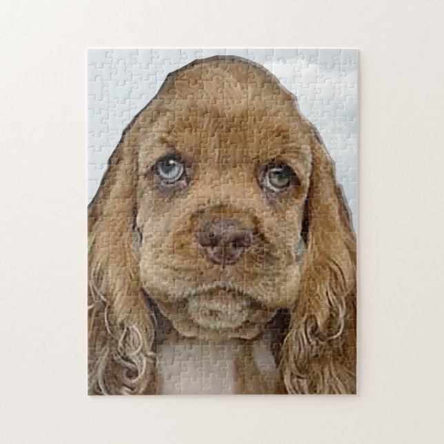 Quebra-cabeça Cocker spaniel (Vertical)