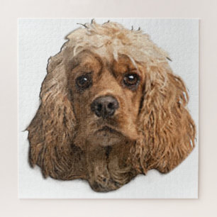 Quebra-cabeça cocker Spaniels