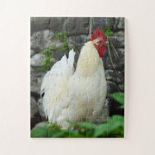Quebra-cabeça Cockerel