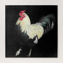 Cockerel magnífico n.o 1