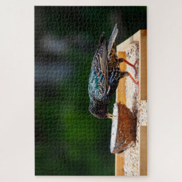 Quebra-cabeça Coco De Comida De Aves Com Pássaros Pretos