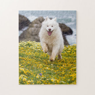 Quebra-cabeça Coco - Flores