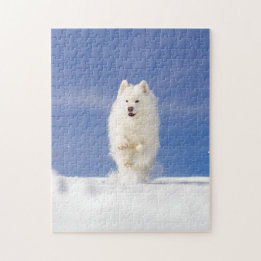 Quebra-cabeça Coco - Urso da Neve