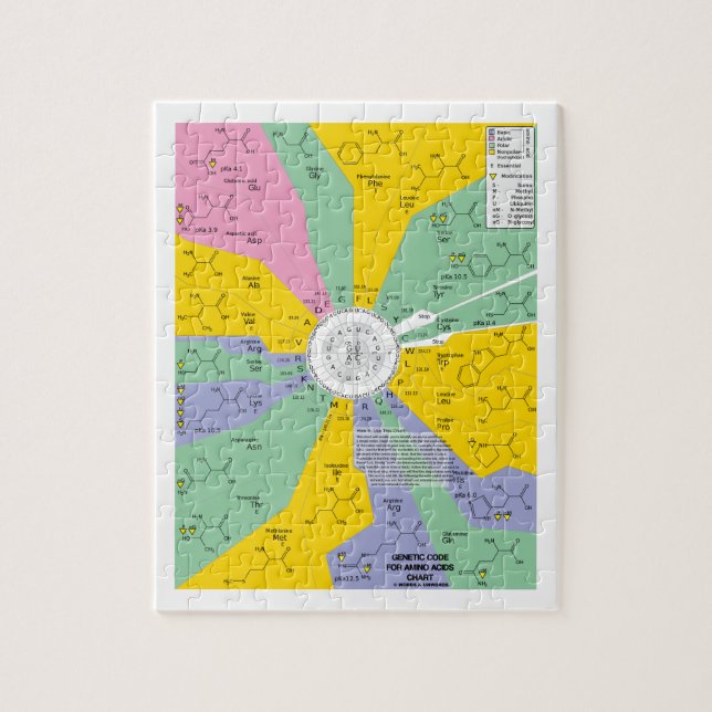 Quebra-cabeça Código genético para ácidos aminados (roda da (Vertical)