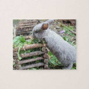 Quebra-cabeça coelhinho cinzento coelhinho da páscoa 5 puzzle