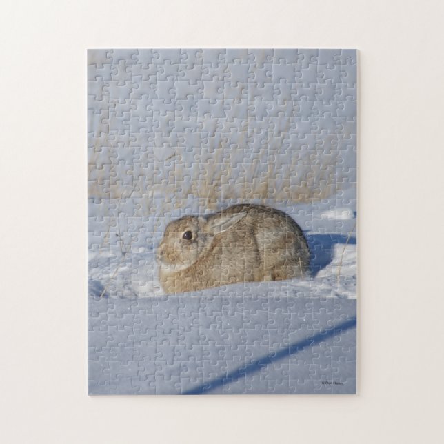 Quebra-cabeça Coelho Cottontail R5 na Neve (Vertical)