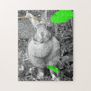 Quebra-cabeça Coelho gigante flamengo B & W com folhas verdes
