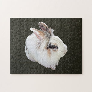 Quebra-cabeça Coelho Lionhead Tri-Color