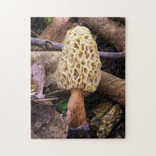 Quebra-cabeça Cogumelo Morel Amarelo