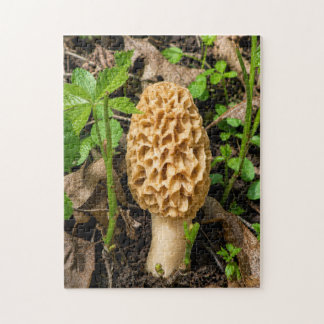 Quebra-cabeça Cogumelo Morel Amarelo Dourado