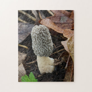 Quebra-cabeça Cogumelo Morel Cinza
