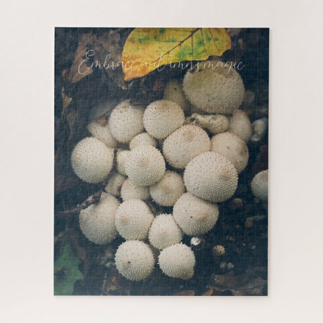 Quebra-cabeça Cogumelos brancos de puffball em folhas de outono (Vertical)