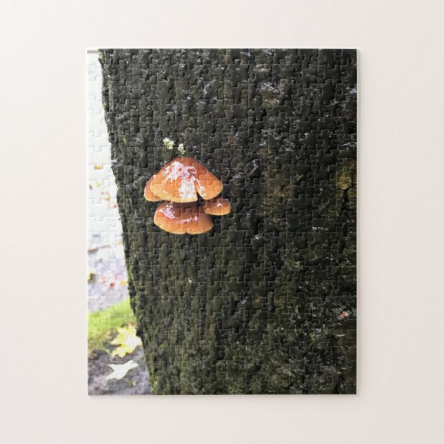 Quebra-cabeça Cogumelos em uma árvore, Oregon (Vertical)
