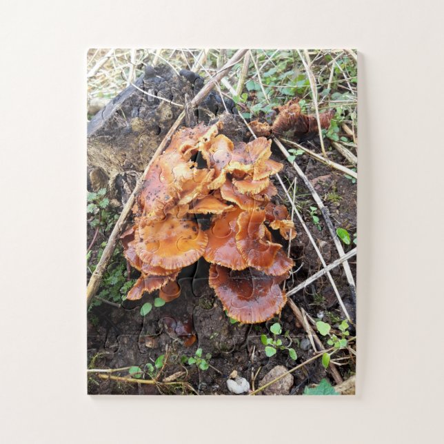Quebra-cabeça Cogumelos na Floresta (Vertical)