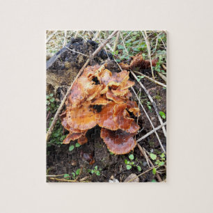 Quebra-cabeça Cogumelos na Floresta