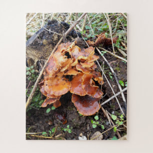 Quebra-cabeça Cogumelos na Floresta