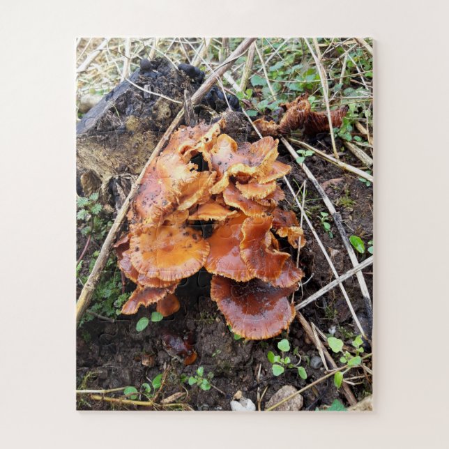 Quebra-cabeça Cogumelos na Floresta (Vertical)