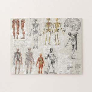 Quebra-cabeça Colagem de Arte de Anatomia Vintage
