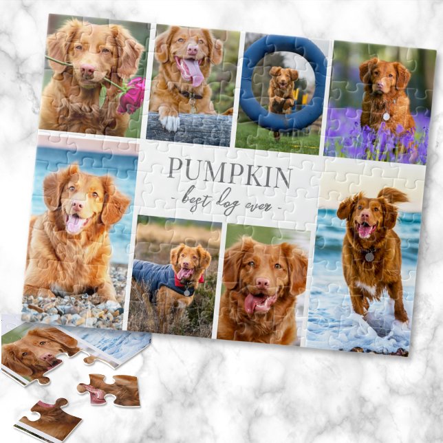 Quebra-cabeça Colagem de Fotos de Cachorro Simples (Simple Dog Pet Photo Collage jigsaw puzzle)