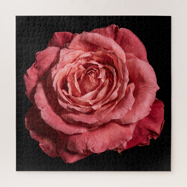 Quebra-cabeça Coleção Elegante Rosa em Preto (Vertical)