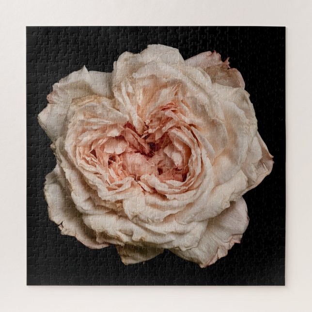 Quebra-cabeça Coleção Elegante Rosa em Preto (Vertical)