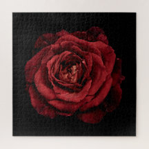 Coleção Elegante Rosa em Preto