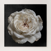 Coleção Elegante Rosa em Preto