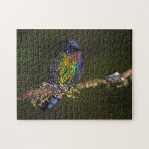 Quebra-cabeça Colibri