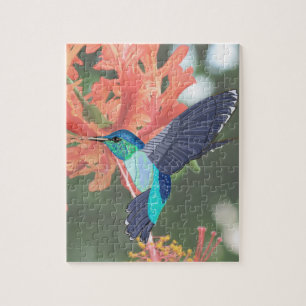 Quebra-cabeça Colibri azul e verde e hibiscus alaranjado