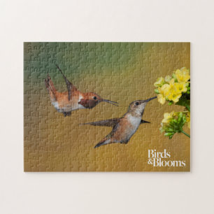 Quebra-cabeça Colibri Rufous de flutuação