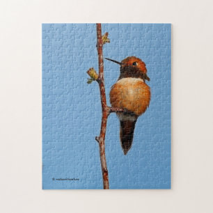 Quebra-cabeça Colibri Rufous masculino no projector