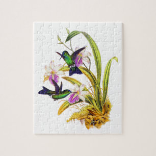 Quebra-cabeça Colibris e orquídeas roxas