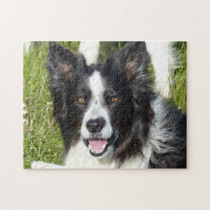 Quebra-cabeça Collie Preto e Branco