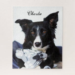 Quebra-cabeça Collie Preto e Branco Personalizado