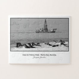 Quebra-cabeça Colônia de focas perto do Pelican Point